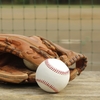 春の静岡学生野球⚾リーグ、プレイオフまで縺れるものを制したのは❓