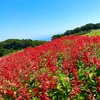 専門学生になった長女の話