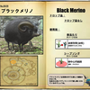 【FF14】暁月フィールドモブNo.0028 「ブラックメリノ(Black Merino)」