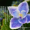 道しるべ（222）自分との対話