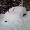 車の発掘