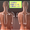 【理想的な筋肉の流れの方向をイメージして姿勢や動きをつくろう！】の小題を自作しました　^-^