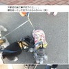 ムッシュ家に行ったよ♪