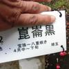 椿で漢字の勉強を！