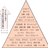 【アリシン】アメリカのがん予防とにんにく