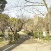 【大分の風景】大分県護国神社・その２：西南の役軍人墓地と慰霊碑群