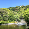 緑が眩しい、松山城