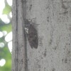2024-09-04(Wed)