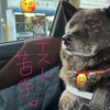 上を向いて歩こう♬