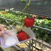 髪の毛の生え際と薬剤師