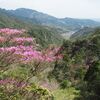 2026年4月12日(日)　鈴鹿山系南部、四方草山～三子山、ヤセ尾根のピークハント!!