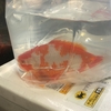 金魚依存症につき