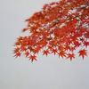 嵐山・紅葉＃１３－３