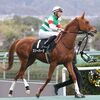 スリーパーダ近況(24年5月9日)