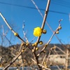 秩父散策・蕎麦