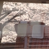 桜の車窓