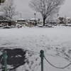 名古屋でも久しぶりの大雪