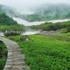 鳥海山ー残雪と花の季節ー