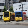 鹿児島市電7500形　7503号車(平川動物公園50周年記念ラッピング車両『Zooっと平川号』)＆7500形　7502号車(チャギントンラッピング車両)