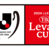 【サッカー】ルヴァンカップ（2024年）決勝戦が最高すぎた（いや、”最高”ではないが）