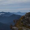 子猿の山登り遊山　星月夜の下で