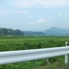 福島原発近隣の農地のいま（2013年8月）