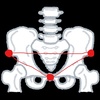 あなたの骨盤は大丈夫？　前傾、後傾になってない？
