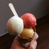 #この間のジェラート #また食べたい
