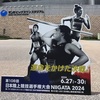 第108回陸上日本選手権を地元新潟で現地観戦！幸せな4日間でした。☆20241208