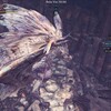 MHW:IBβ日記　操虫棍でイヴェルカーナをソロ攻略&IB操虫棍の感想