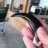ヒグマの爪