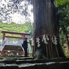 【夏詣】猪苗代町の磐椅神社（いわはしじんじゃ）に参拝した話。【御朱印】