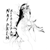  Nai Palm / Needle Paw