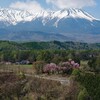 桜咲く木曽路