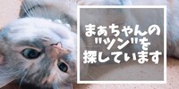 まぁちゃんのツン落ちてませんか...？