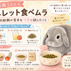 8歳うさぎのペレット食べムラ｜強制給餌が苦手なつきに試したこと