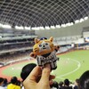 台湾プロ野球を観戦してきました！
