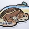 ▼　徳島県　第７弾-ウミガメ　▲