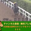 シリウスステークス（GIII） 【競馬調教】 シンゼンレンジャー調教動画　「競馬レース結果ハイライト」2016年≪競馬場の達人,競馬予想≫