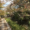 紅葉前の京都 哲学の道