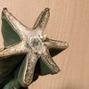 胴切り鬼面閣がようやく発根