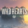 君のままで。『WILD HEARTS』レビュー。