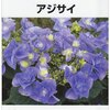 NHK趣味の園芸・よくわかる栽培12か月 シリーズの本