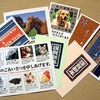 年賀状のタイミング