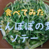 【大和川を食す】たんぽぽの葉のソテー