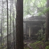 小暑の加持ヶ峰遊山　山霧