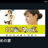 ねこあつめの家　映画感想