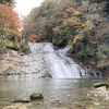 関東で最も遅い紅葉