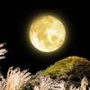 神無月夜に囲まれて！この季節に聴きたくなるのは井上陽水さんのこの曲ですね～