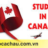 Bí quyết chọn công ty tư vấn du học Canada